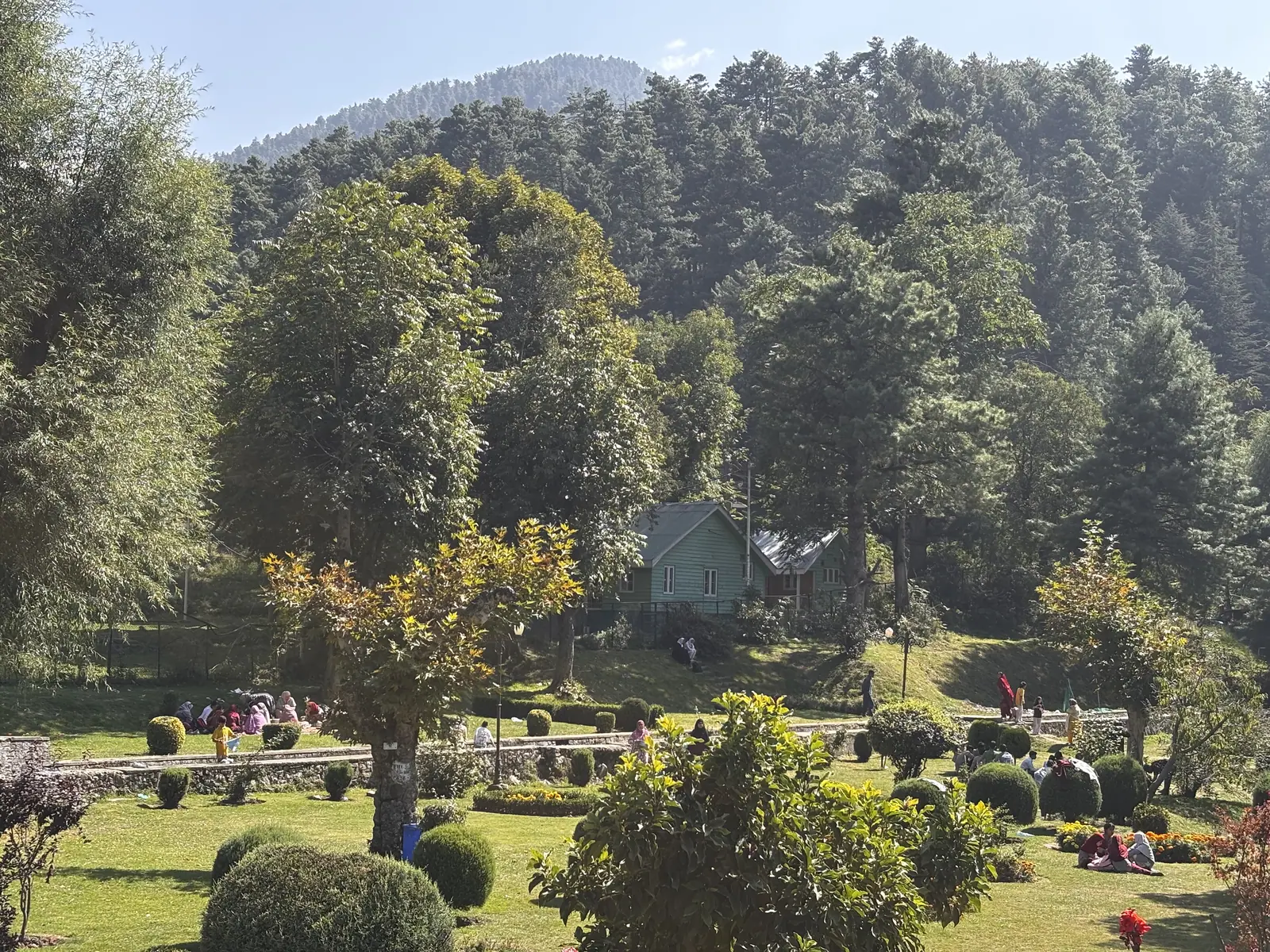 A view of Kokernag botanical garden Jammu and Kashmir