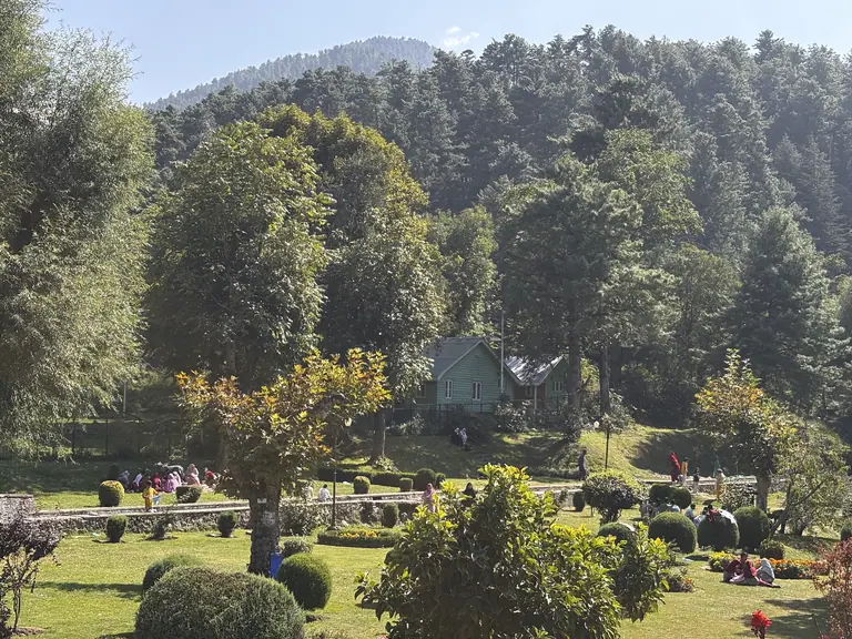 A view of Kokernag botanical garden Jammu and Kashmir