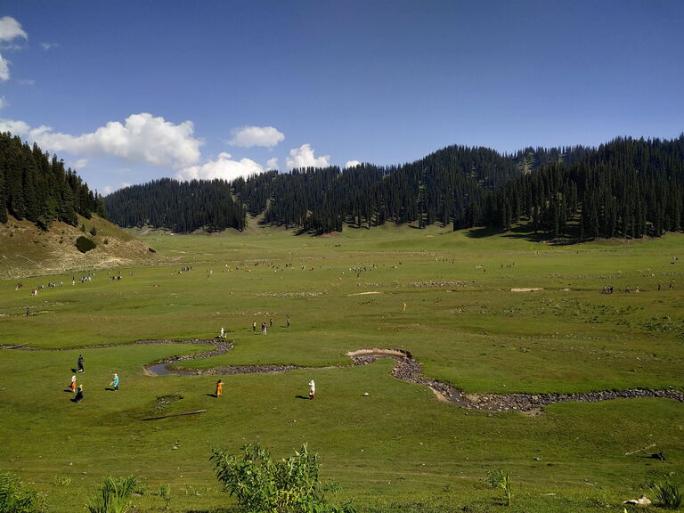 The wide green meadow of Bangus Valley below a pine-covered ridge
