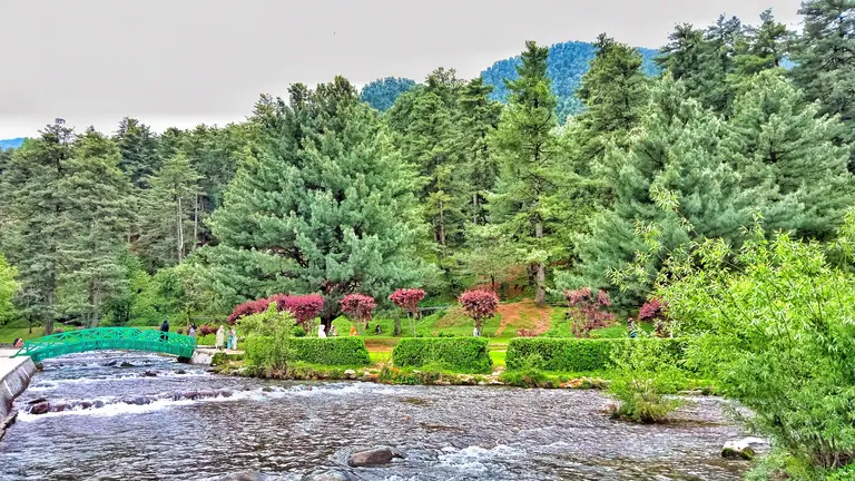 Botanical garden kokernag