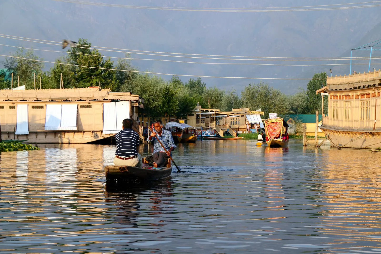 Dal Lake's sunset tour on a shikara - Srinagar