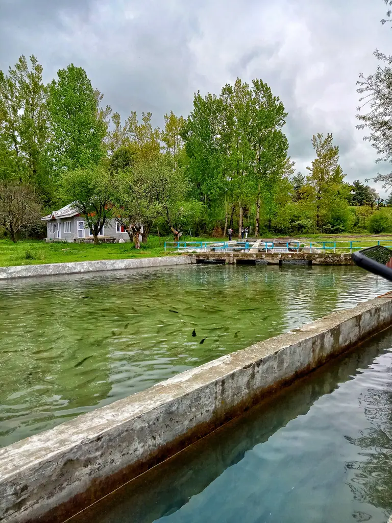Fish farm kokernag