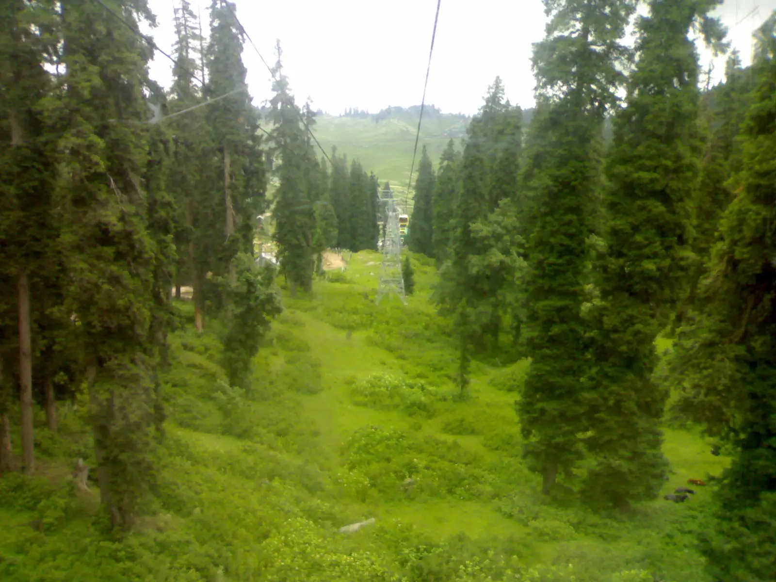 Gulmarg in July