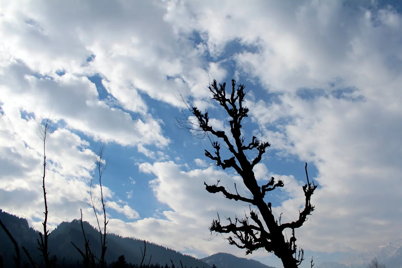 Srinagar in November