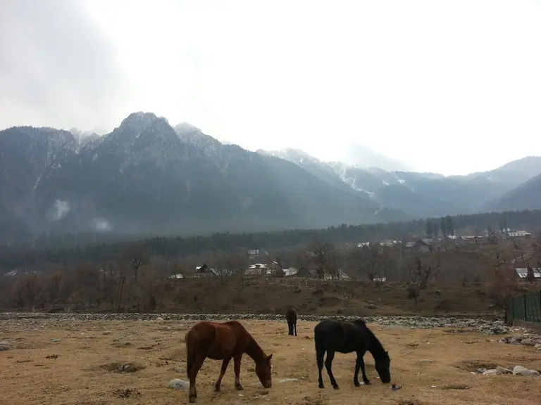 Pahalgam union cabs, explained