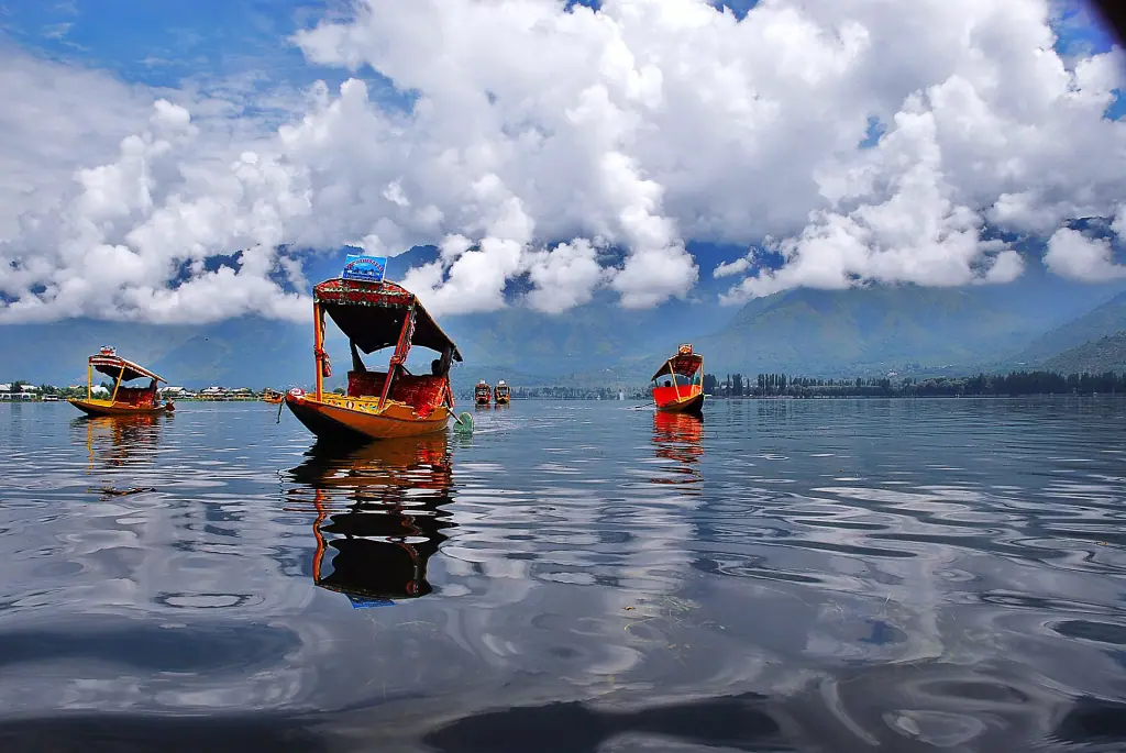 Kashmir valley in March: early spring, almond blossom