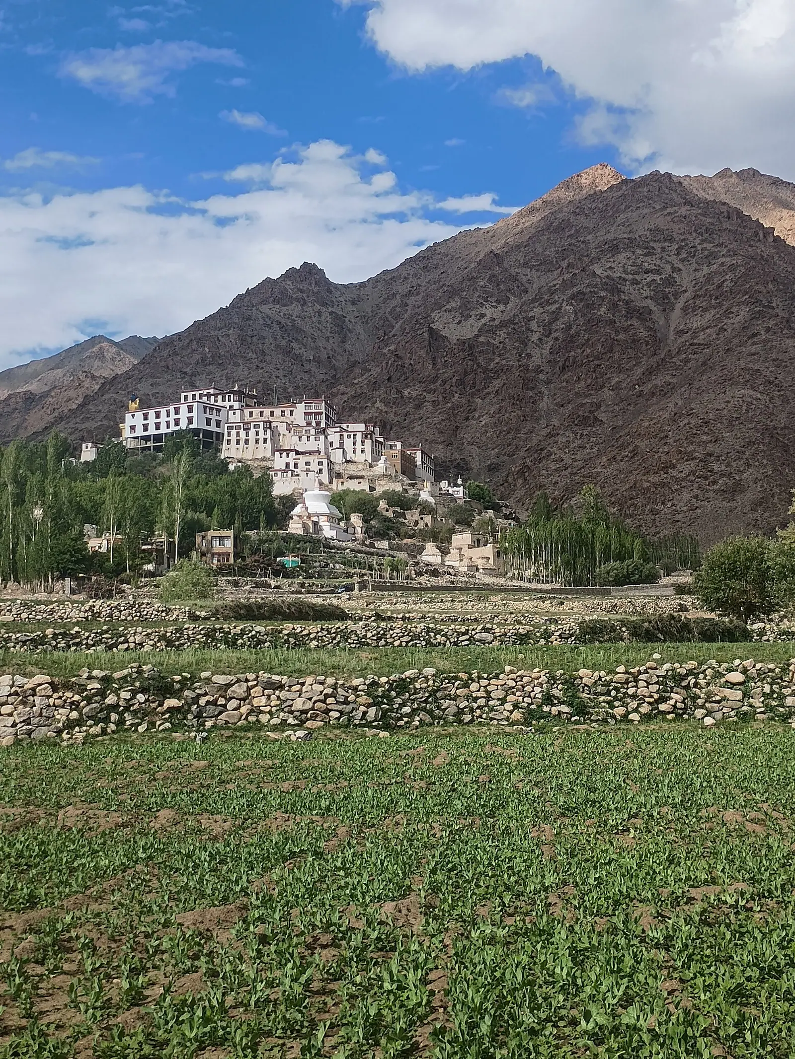 Likir Monastery view Ladakh 2026