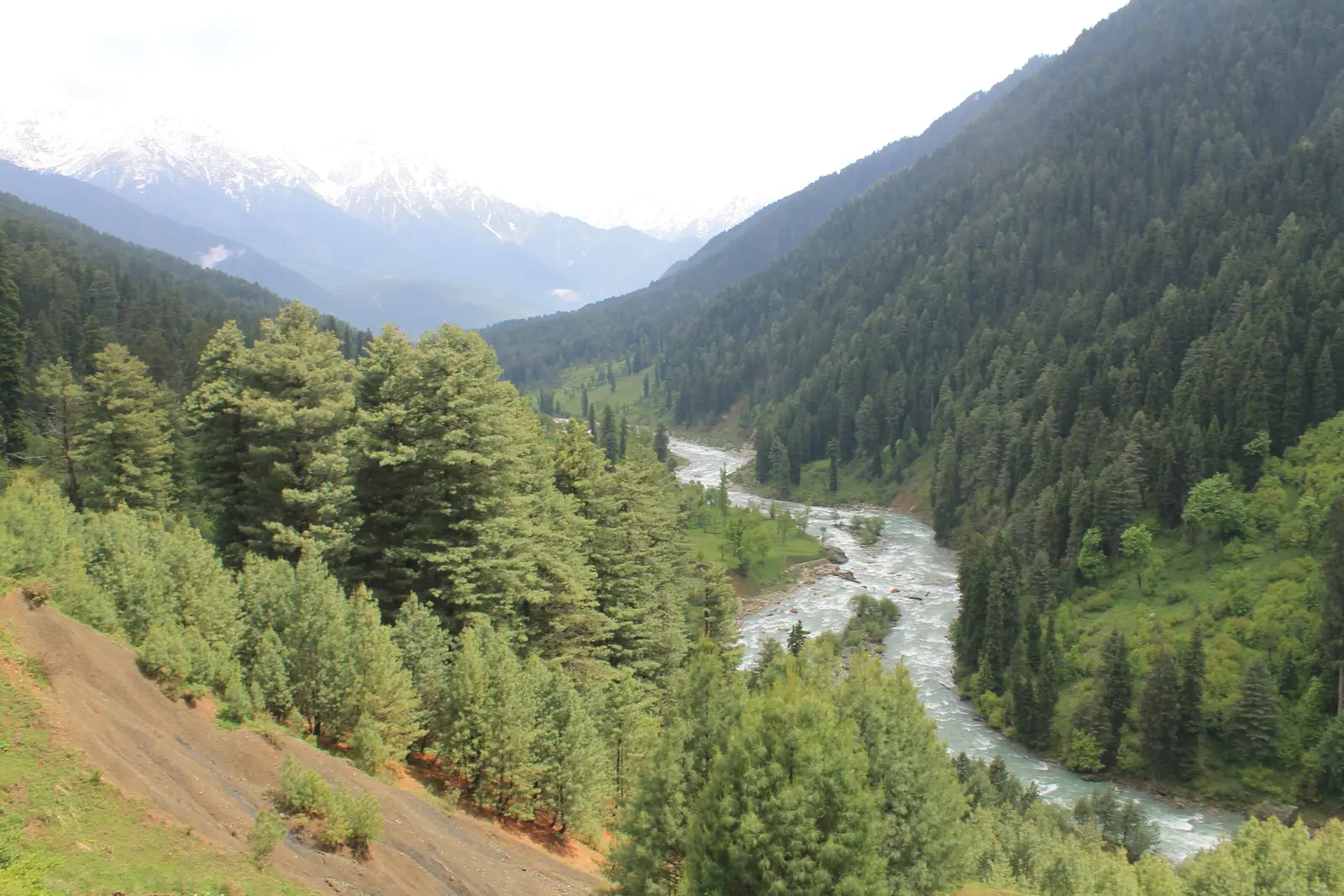 Pahalgam Valley View