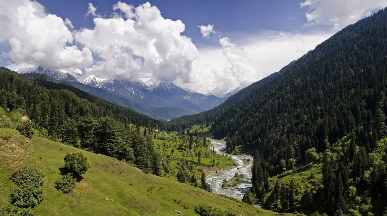 Forested valley with a river in the Pahalgam area