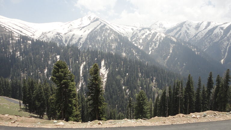 Snow-streaked mountain range above pine forest near Sinthan Top
