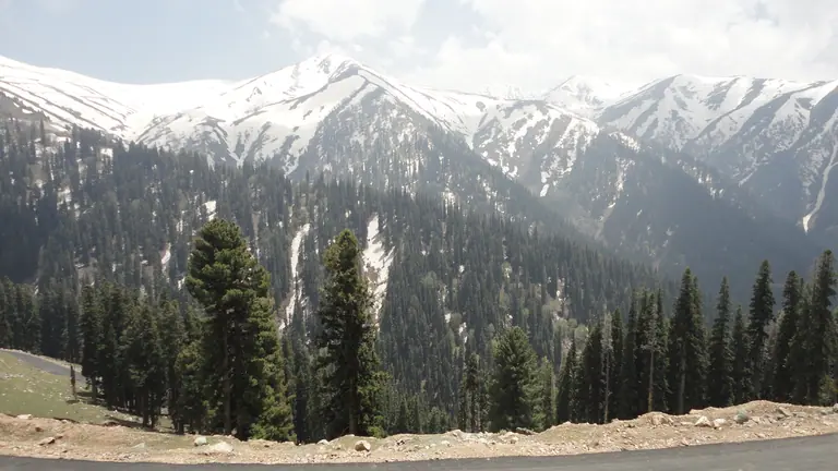 Snow-streaked mountain range above pine forest near Sinthan Top