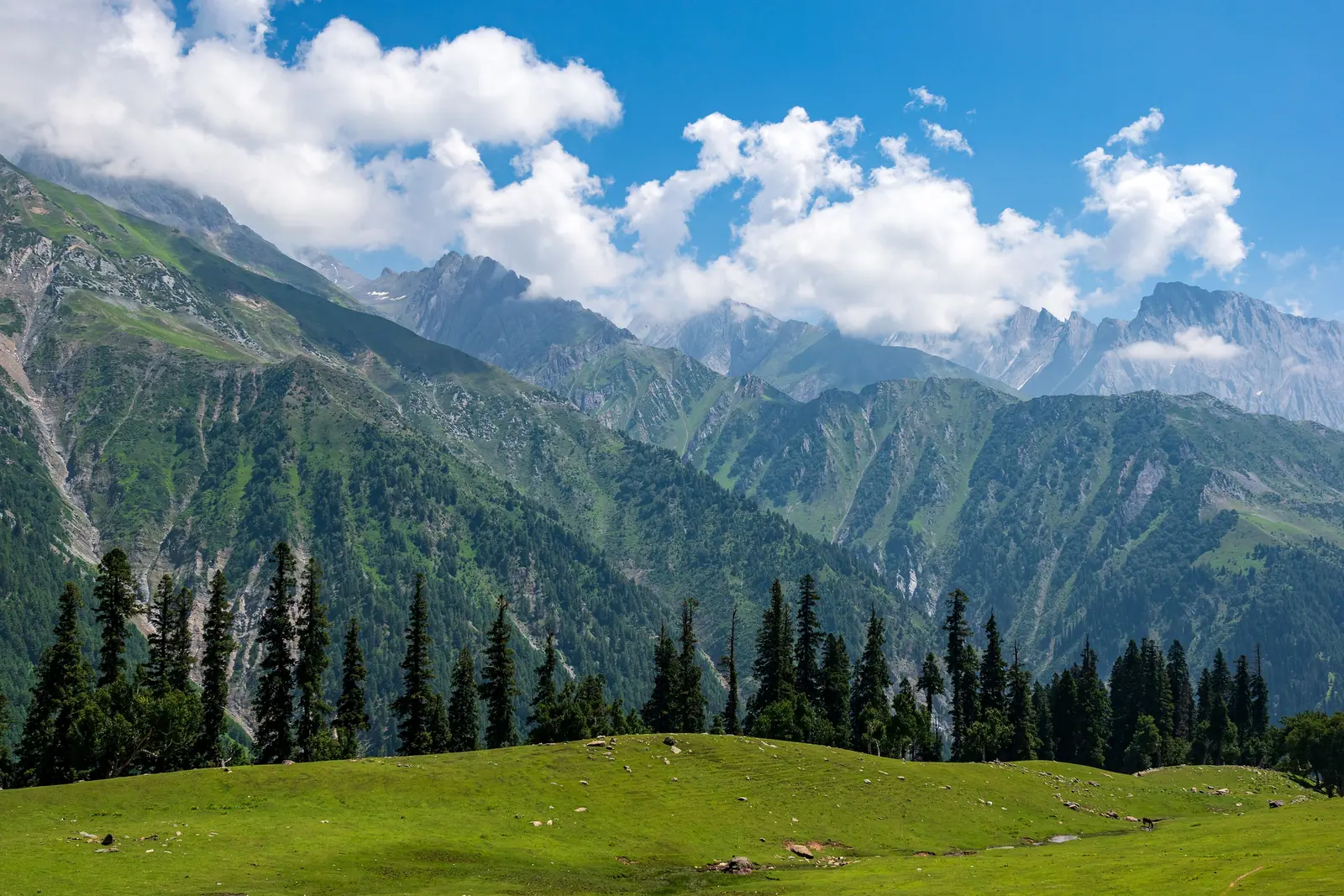 Friends & groups in Sonmarg