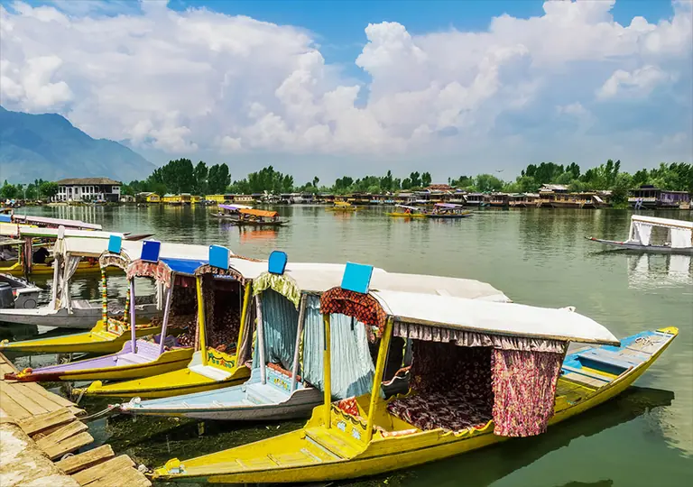 Shikara boats moored at the shore of Dal Lake with the lake behind