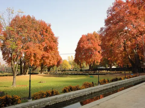 Chinar Honeymoon (autumn) — Kashmir Tour Plan